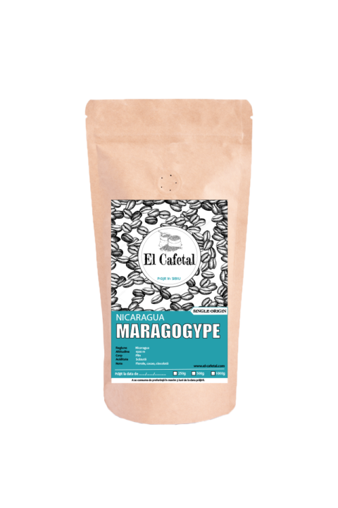 NICARAGUA MARAGOGYPE